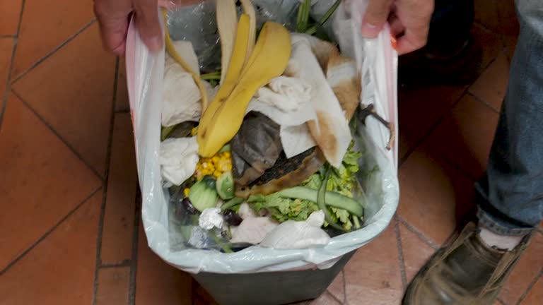 Professional Junk Removal Services in Marlinton, WV